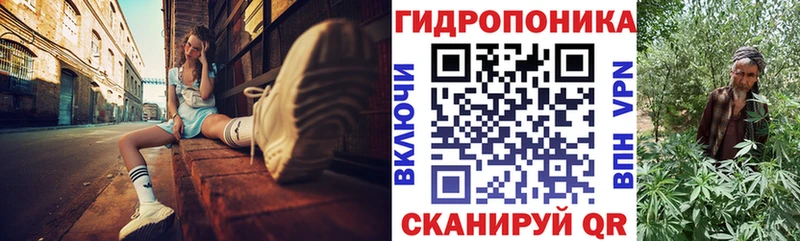 Наркошоп купить LSD-25  МЕФ  АМФ  Гашиш  А ПВП  Конопля  Ростов